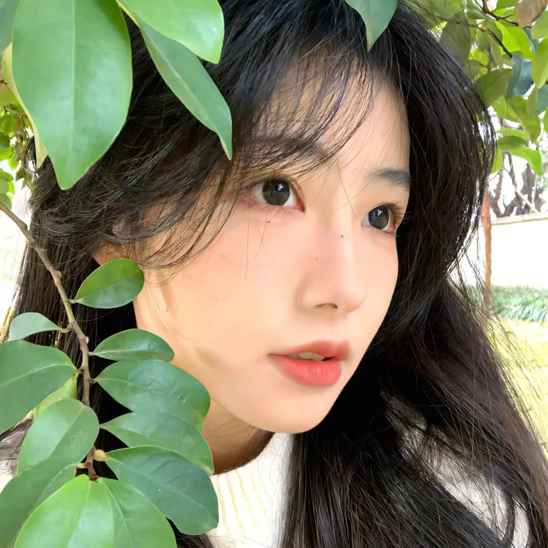 家有虎妻